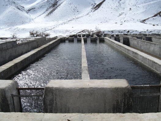 مجتمع پرورش ماهیان مورزرین